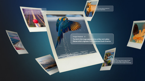コレクション１
